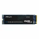 PNY CS1030