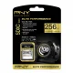 PNY 256GB SDXC class 10