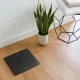 Withings Body #2