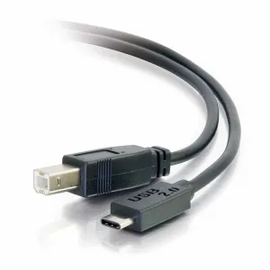 CablesToGo 10ft, USB 2.0 Type C, USB B