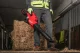 Milwaukee M18F2BL-0 #12