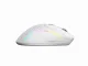 Glorious PC Gaming Race Glorious Model D 2 Wireless - Matte White #2