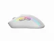 Glorious PC Gaming Race Glorious Model D 2 Wireless - Matte White #3