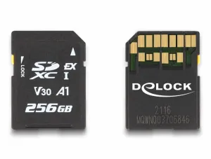 DeLOCK 54091