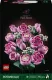 Lego Botanicals Bouquet of Pink Roses