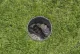 Gardena Pressure regulator #3