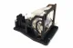 MicroLamp ML12244