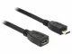 DeLOCK 0.5m USB 2.0 #2