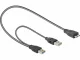 DeLOCK 82909
