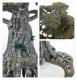 Games Workshop Awakened Wyldwood #4