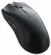 Glorious PC Gaming Race Model O 2 PRO Wireless #2