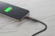 Cellular Line ADAPTDATABLOCKC2CK #2