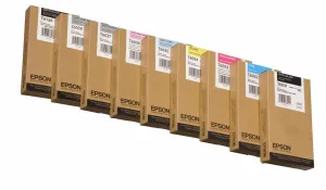 Epson T6031