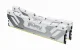 Kingston Technology FURY Renegade