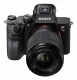 Sony Alpha 7 III #2