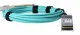 BlueOptics Q28-AOC-25M-VA-BO #4