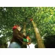 Black & Decker PS7525-QS #4