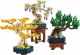 Lego Botanicals Mini Bonsai Trees #2