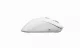 Glorious PC Gaming Race Model D 2 PRO Wireless #3