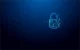 Kingston Technology IronKey Vault Privacy 50 #11