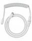 Glorious PC Gaming Race USB 2.0 cable 4.5ft total length 6 coiled section USB-C to USB-A adaptor 5-pin aviator connector Double-braided #2