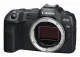 Canon EOS R8 #2