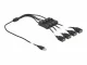 DeLOCK 86805 #2