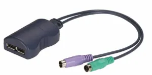 Black Box KVUSB-PS2