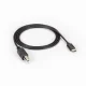 Black Box USBC2TYPEB-1M