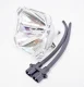 MicroLamp ML10126