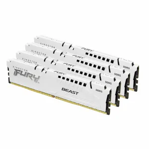 Kingston Technology FURY Beast