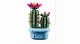 Lego Botanicals Flowering Cactus #4