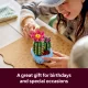 Lego Botanicals Flowering Cactus #11