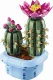 Lego Botanicals Flowering Cactus #2