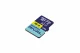 Goodram microSDXC 64GB V30 A2 UHS I U3 RIVAL + adapter #37