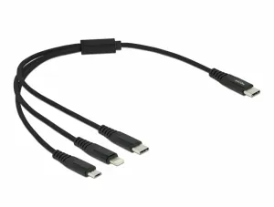DeLOCK 87148