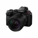 Panasonic Lumix S5D + Lumix S 28-200mm / F4-7.1 Zoom