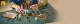 Lego NINJAGO Ninja Character Display 15th Anniversary #5