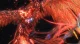 Square Enix Final Fantasy XVI #5