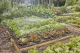 Gardena 13450-20 #2