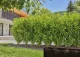 Gardena 13500-20 #4
