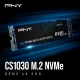 PNY CS1030 #3