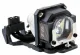 MicroLamp ML10504