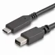 StarTech.com CDP2MDPMM6B