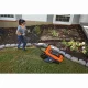 Black & Decker LM2000-QS #3