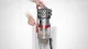 Dyson Cinetic Big Ball Animal Pro #10