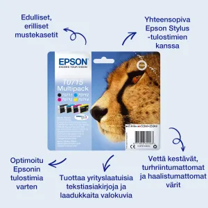 Epson T0711