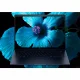 HP EliteBook X Flip G1i Next Gen AI PC #24