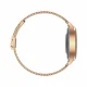MaxCom FW42 GOLD #5