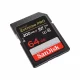 Sandisk Extreme PRO #2